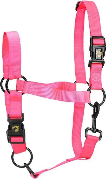 Excellent Horse - S (Shet) - Essential Halster - Halster voor paard - Reflecterend - Nylon - Roze