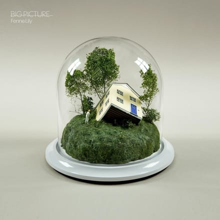 Fenne Lily - Big Picture (CD)