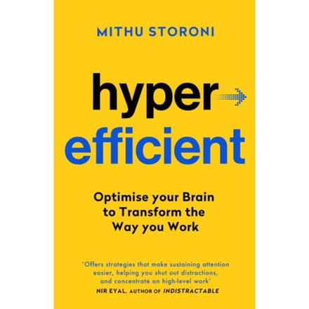 Hyperefficient - Yellow Kite - Mithu Storoni