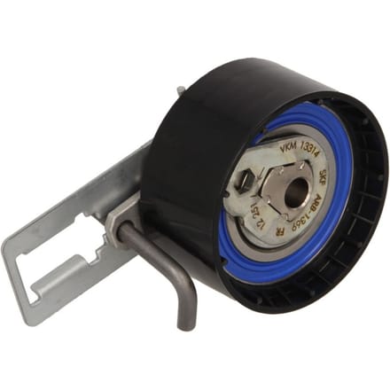 Tandriempoelie SKF VKM 13314