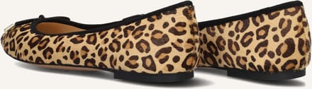Inuovo B16003 Ballerina's Dames - Bruin - Maat 38