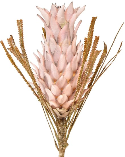 Exotische kunstbloem roze grote ananasbloesem 74cm