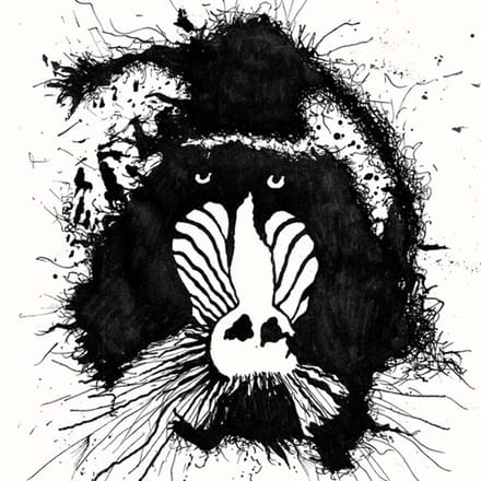 Feral Ohms - Feral Ohms (LP)
