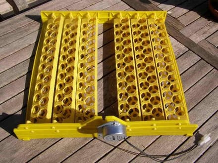 Automatisch keersysteem voor kwarteleieren