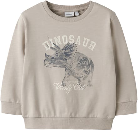 NAME IT - NMMFENTO LS NREG SWEAT UNB BOX - Jongens - Sweaters
