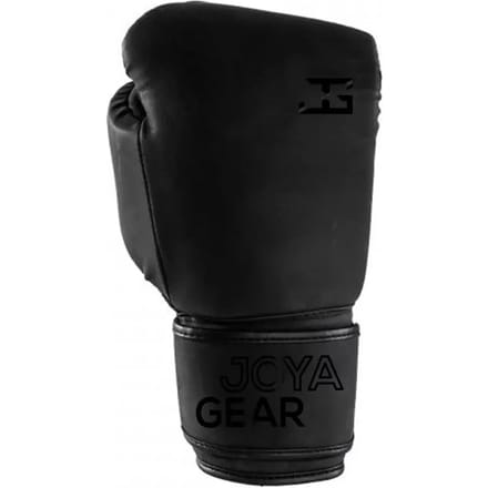 Kickboks handschoenen Joyagear Max