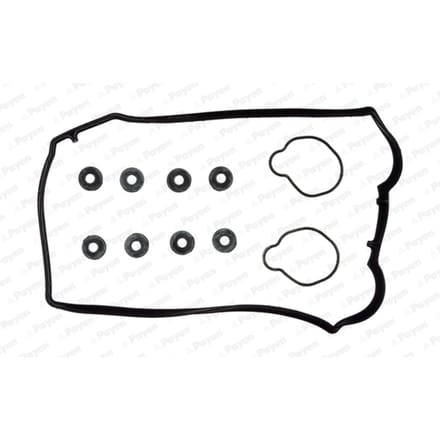 Pakkingset, klepdeksel-PAYEN HM5254 links