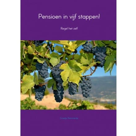 Pensioen In Vijf Stappen! - Greetje Remmerde