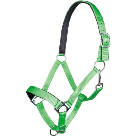 Halster voor paarden HKM Stars