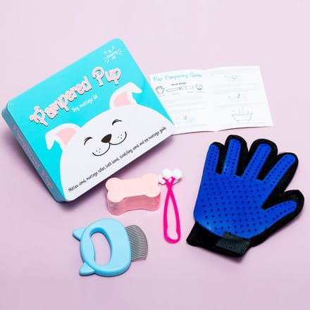 Gift Republic Massage Kit - Hond