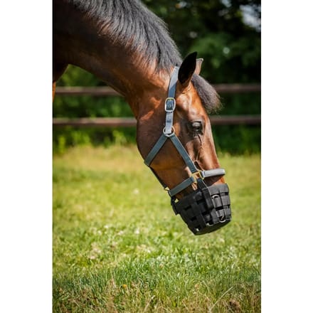 Muselière voor weidepaard met halster HorseGuard