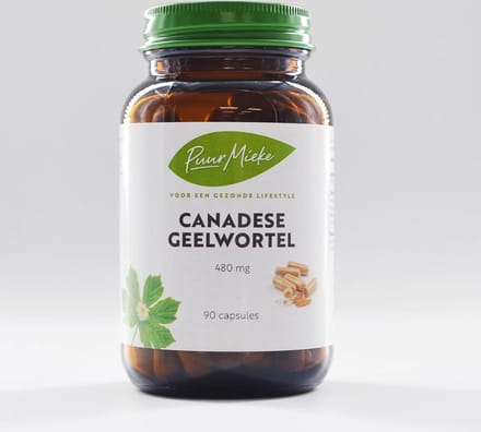 Canadese Geelwortel - 480mg - 90 caps