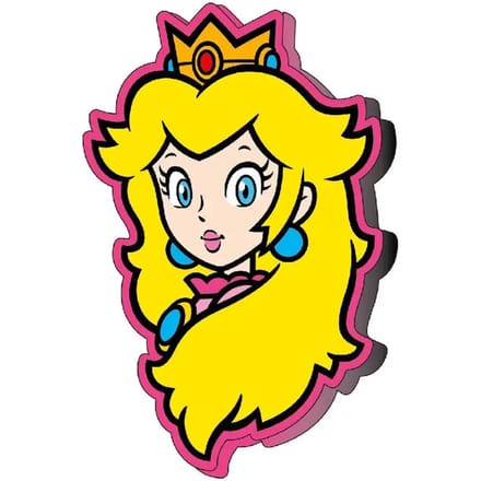 3d kussen Nintendo Super Mario Bros Peach