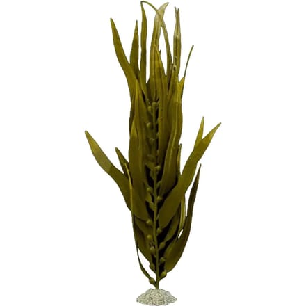 Aqua D'ella Kunstplant Kelp Bruin Medium - 38CM