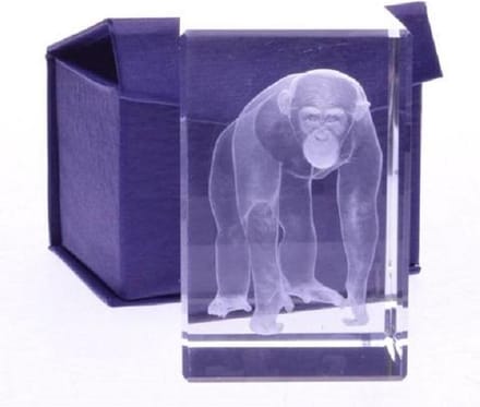 Glasblokje Chimpansee 3D – Lasergravure in Glas – Cadeauverpakking 8 cm