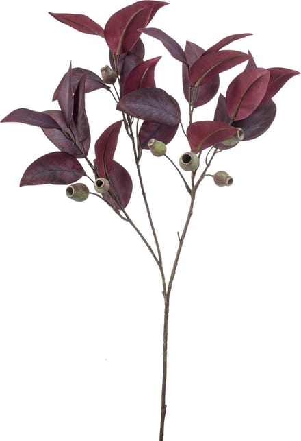 Emerald - Kunsttak Eucalyptus met vruchten 80cm bordeaux - Kunstplant voor binnen