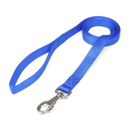 De-Tail Hondenriem Nylon 25 mm x 180 cm Blauw