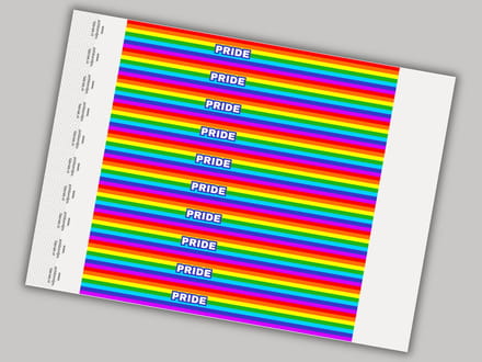Tyvek Polsbandjes | Pride | 50 Stuks