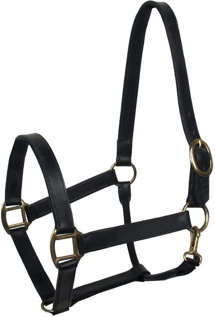 Baseline Leren Halster - Maat: Pony - Zwart - Leer