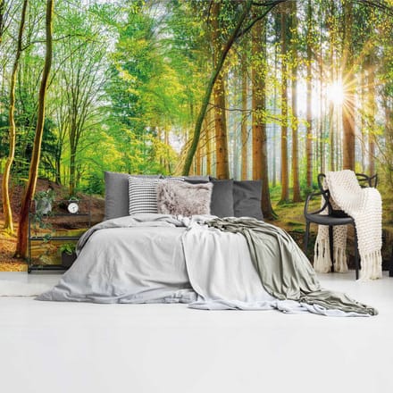 Fotobehang Bos in de zon - 260 x 384 - Vlies - REINDERS