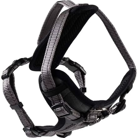 Hondentuig Duvoplus Y Safety