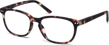 Blueberry Glasses Vintage Groot Donker Havanna