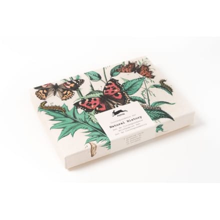 Natural History - Correspondence Set - Pepin van Roojen