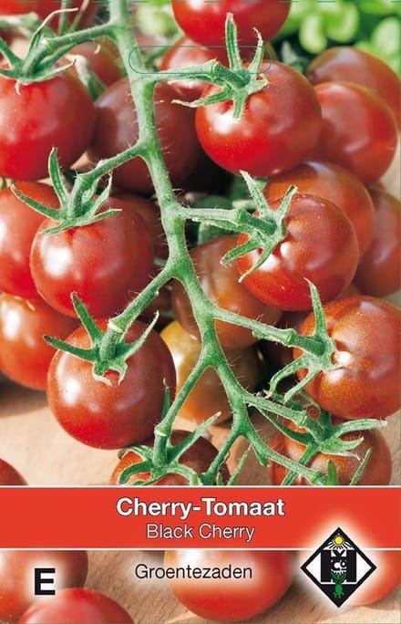 Van Hemert - Kerstomaat Black Cherry