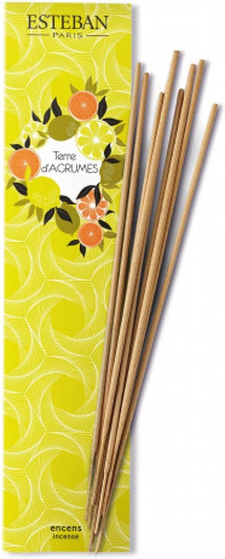 Esteban Classic Terre d'Agrumes Bamboo Sticks