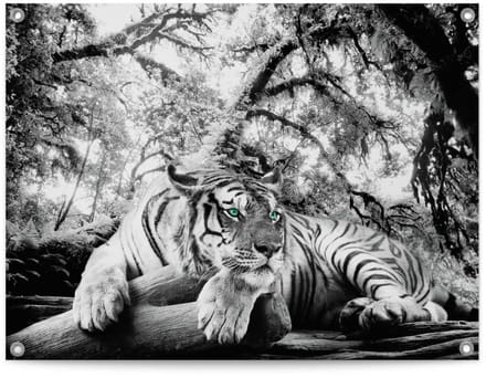 Tuinposter Tijger - 60 x 80 - Canvas - REINDERS