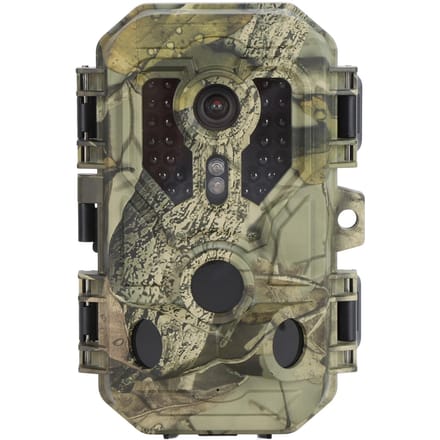 Caméra de chasse professionnelle IP66 étanche 4K sans fil WiFi vision nocturne détection de mouvement faune