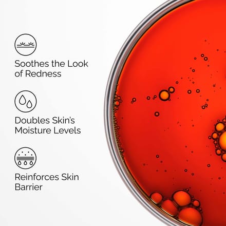 The Ordinary Pycnogenol 5 The Ordinary - Antioxidants Pycnogenol 5%