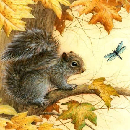 Diamond painting 30x30cm - eekhoorn - ronde steentjes