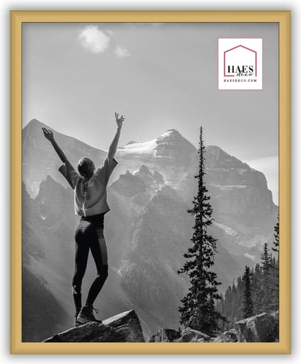 HAES DECO - Kunststof fotolijst 20x25 goud Easy Frame - EF12G