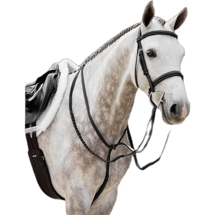 Lemieux Teugels Lemieux Hunter Leather Laced Zwart-zilver