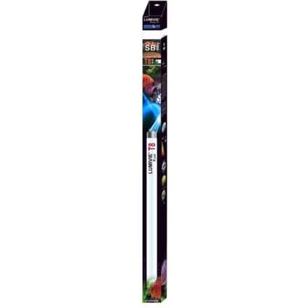 Buis Aquavie Lumivie SB T8 58w