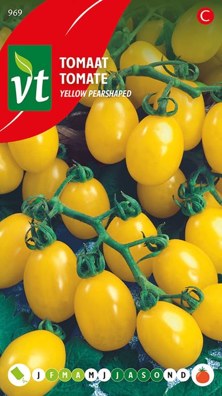 Tomaat Yellow Pearshaped