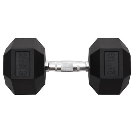 vidaXL - Halters - 25 - kg - gietijzer