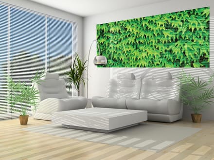 Flowers Forest Nature Photo Wallcovering
