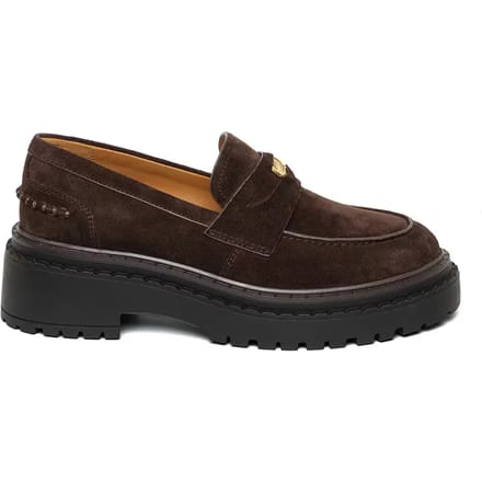 Damesschoenen Steve Madden Pursuit