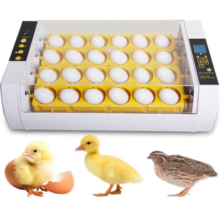 Incubateur de 24 œufs avec rotation automatique des œufs, contrôle de l'humidité et lumière de bougie d'œufs, EU Plug yellow