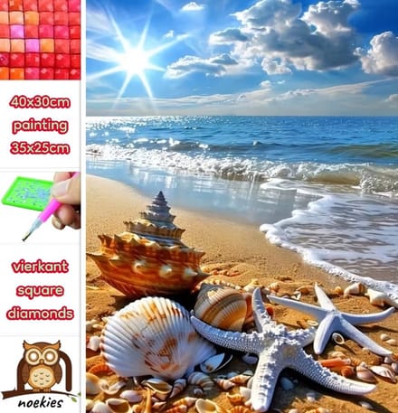40x30cm Diamond Painting schelpen strand (vierkant) nr 184