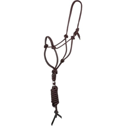 Halster en longe voor paard met knoop Pool's