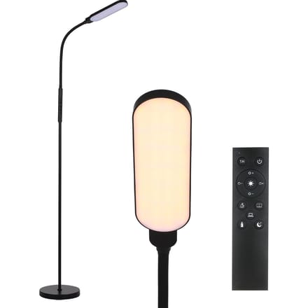 LED Vloerlamp Moderne Staande Lampen Leeslamp 9 Helderheidsniveaus & 5 Lichtkleuren EU Plug zwart