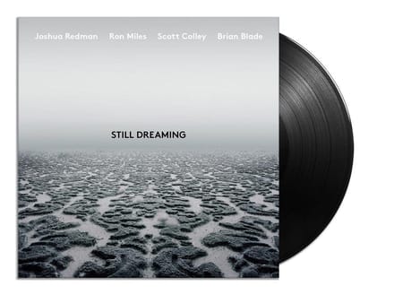 Still Dreaming (LP)