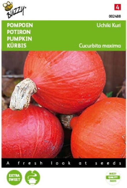 2 stuks - Buzzy - Pompoenen Uchiki Kuri Oranjezon
