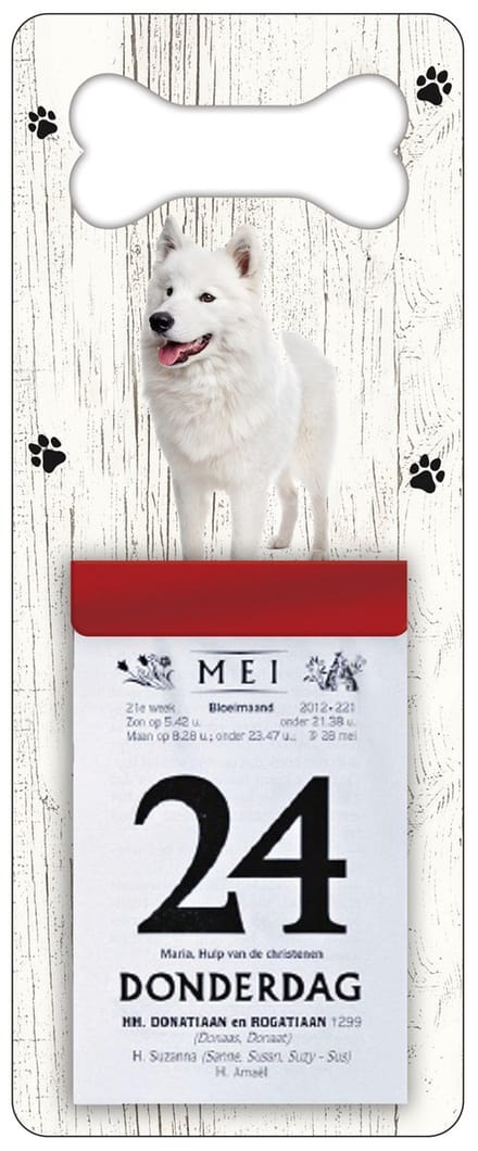 Scheurkalender 2027 Hond: Samojeet