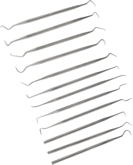 12-delige RVS sonde Set