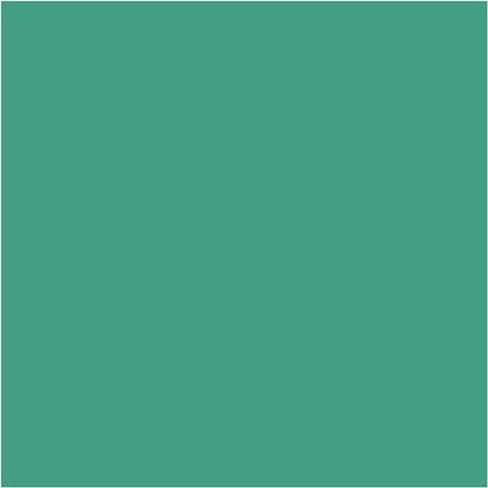 BIC Visa Color Kleurstiften, lijndikte 3 mm, mid groen, 12 stuk/ 1 doos