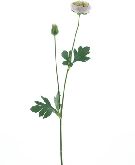New ranunculus spray Flaine lt pink 55 cm kunstbloem Erutan Avon